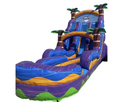 22 Purple Plunge Dual Lane Waterslide